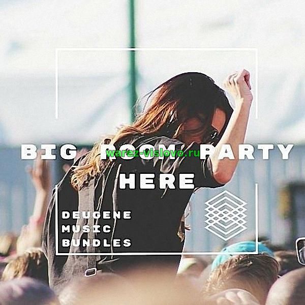 VA - Big Room Party Here (2017)