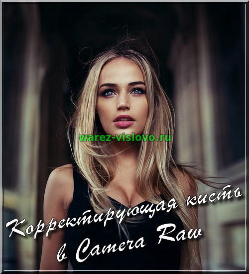 Корректирующая кисть в Camera Raw