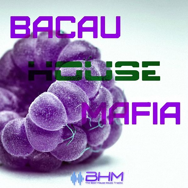 VA - BacauHouseMafia vol.17 (2017)