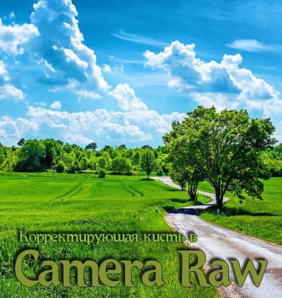 Корректирующая кисть в Camera Raw