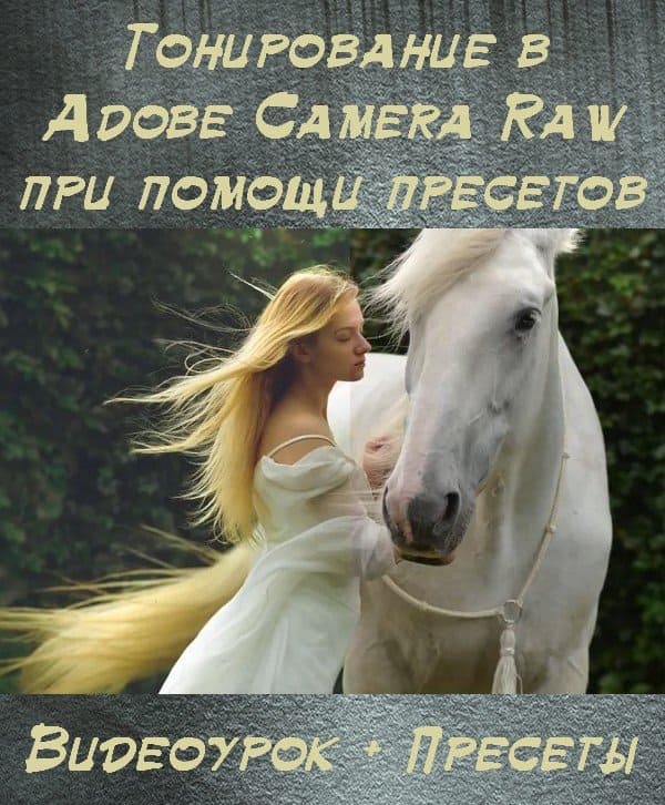 Тонирование в Adobe Camera Raw при помощи пресетов