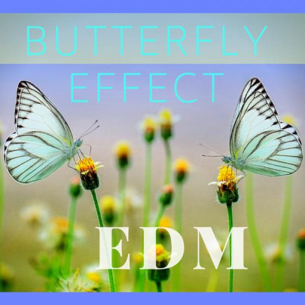 Dj Swaggy - Butterfly Effect Edm (2018)