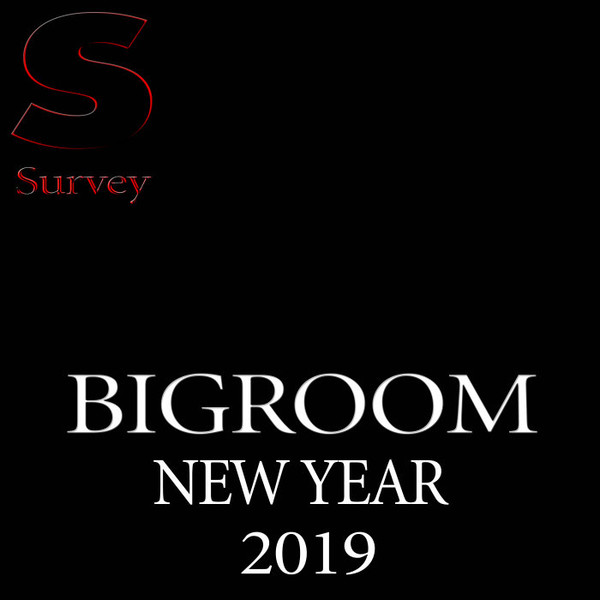 Bigroom Music New Year 2019 (2019)