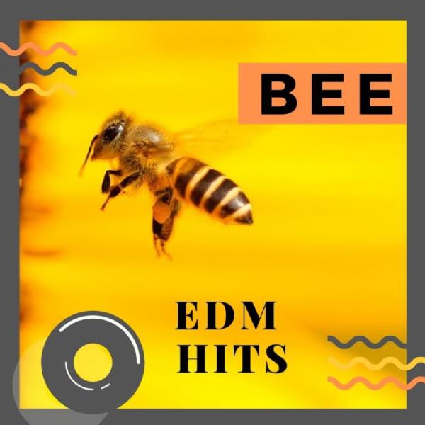 Sifare Dance Chillout - Bee EDM Hits (2019)