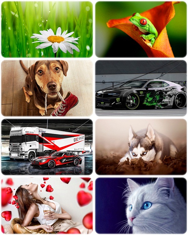 Wallpapers Mixed Pack 71