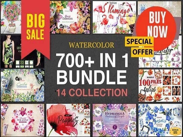 700+ files in 1 BUNDLE 14 collections