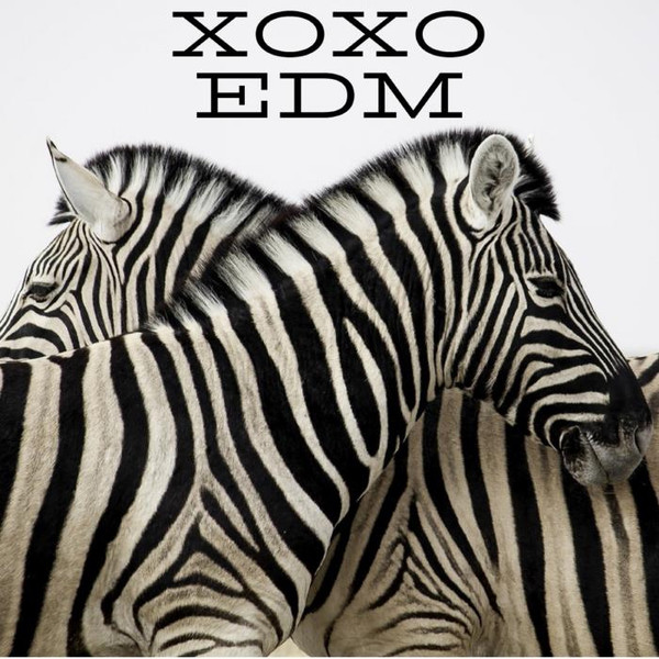 XOXO EDM (2019)