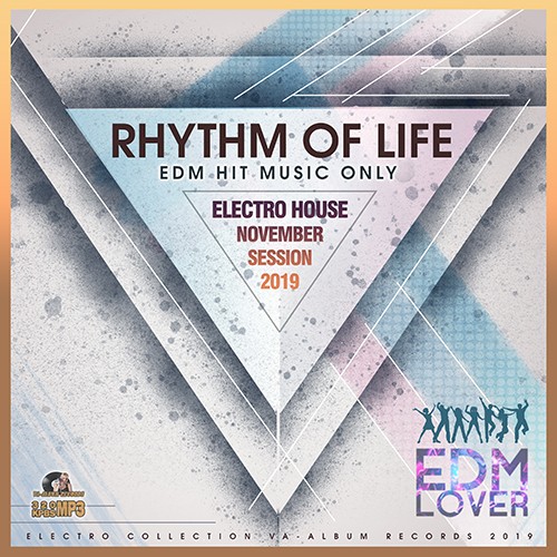 Rhythm Of Life: Electro House Session