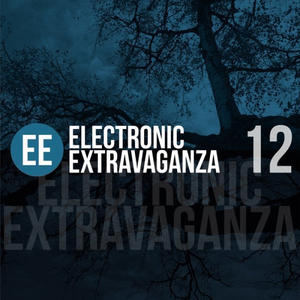 Electronic Extravaganza, Vol. 12 (2019)