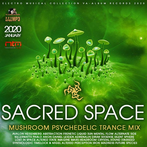 Sacred Space: Mushroom Psy Trance Mix