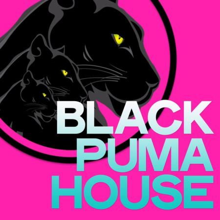 Black Puma House (2020)