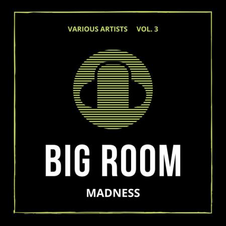 Big Room Madness, Vol. 3 (2020)