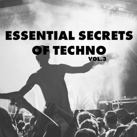 Essential Secrets of Techno, Vol. 3 (2020)