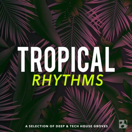 Tropical Rhythms (2020)