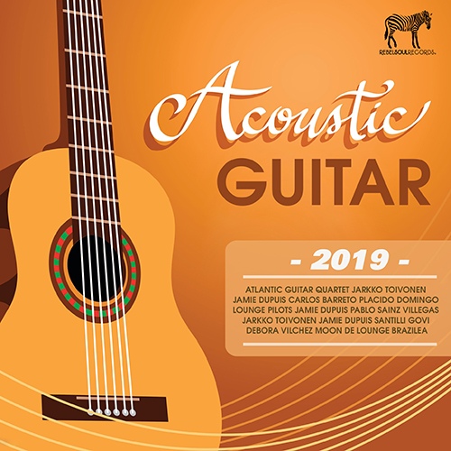 Acoustic Guitar