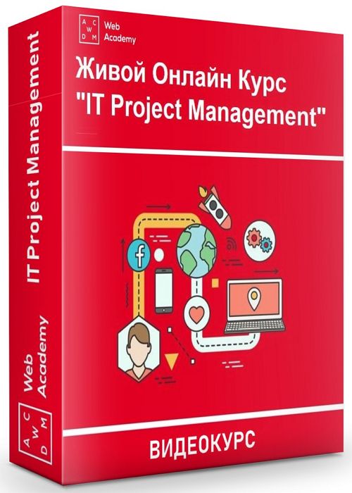 IT Project Management