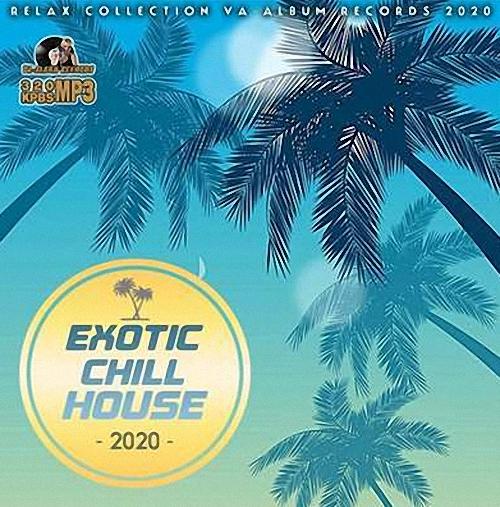 VA - Exotic Chill House (2020)