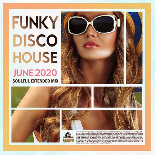 Funky Disco House: Soulful Extended Mix