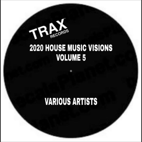 2020 House Music Visions Volume 5 (2020)