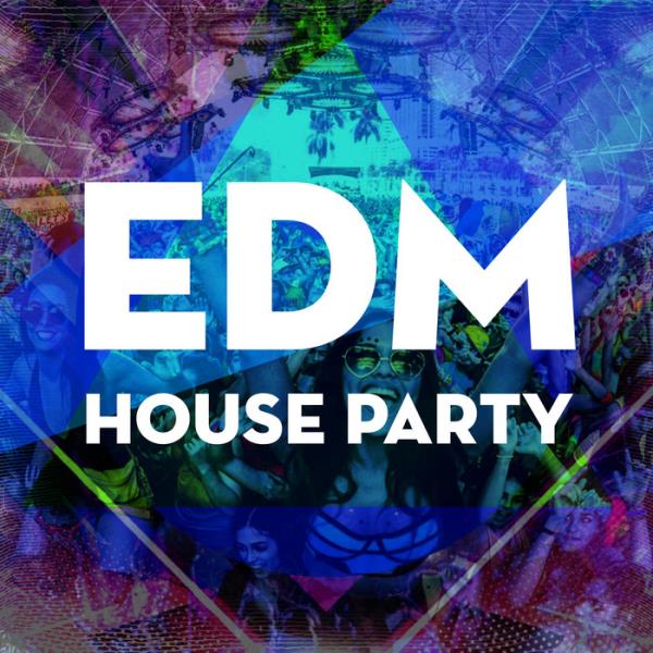 Eclectic Music - EDM House Party (2020)