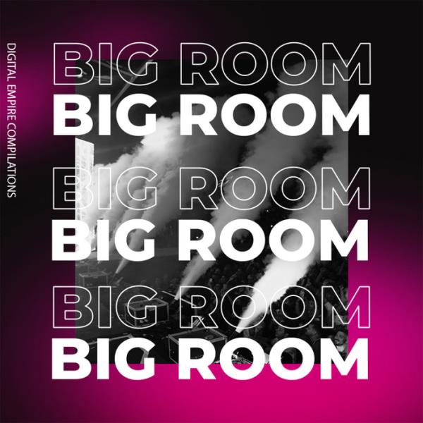 Big Room 2020, Vol. 2 %delete_1%(2020)%delete_1%