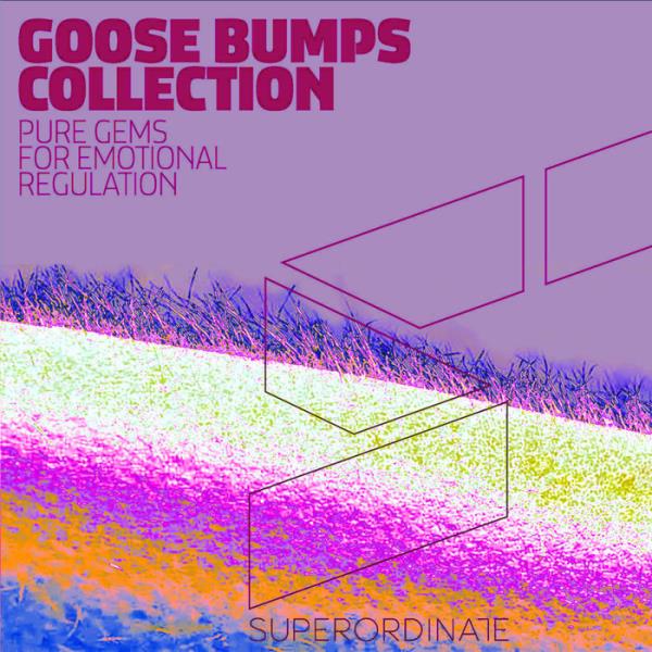 Goose Bumps Collection, Vol. 5 %delete_1%(2020)%delete_1%