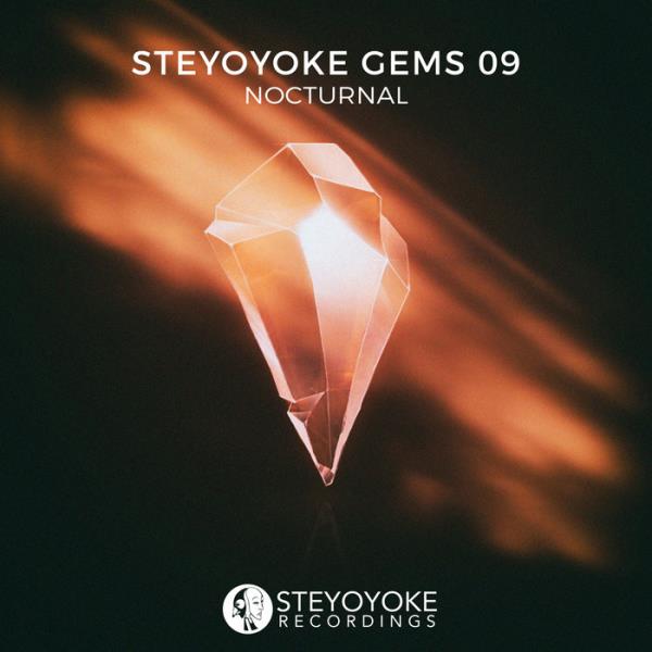 Steyoyoke Gems Nocturnal 09 (2020) FLAC