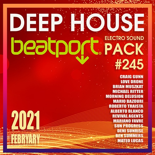 Deep House: Electro Sound Pack #245