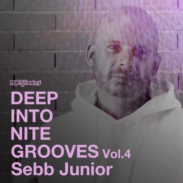 Sebb Junior - Deep Into Nite Grooves, Vol. 4 (2021) FLAC