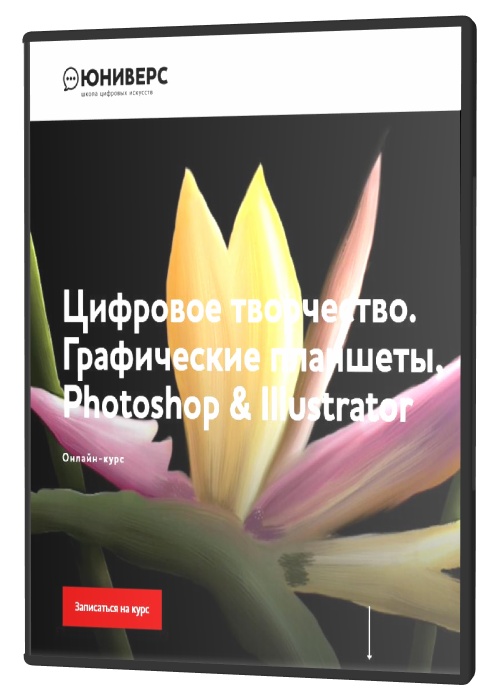 Цифровое творчество. Графические планшеты, Photoshop & Illustrator