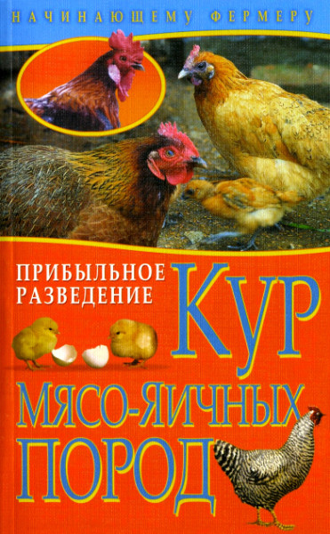 Прибыльное разведение кур мясо-яичных пород